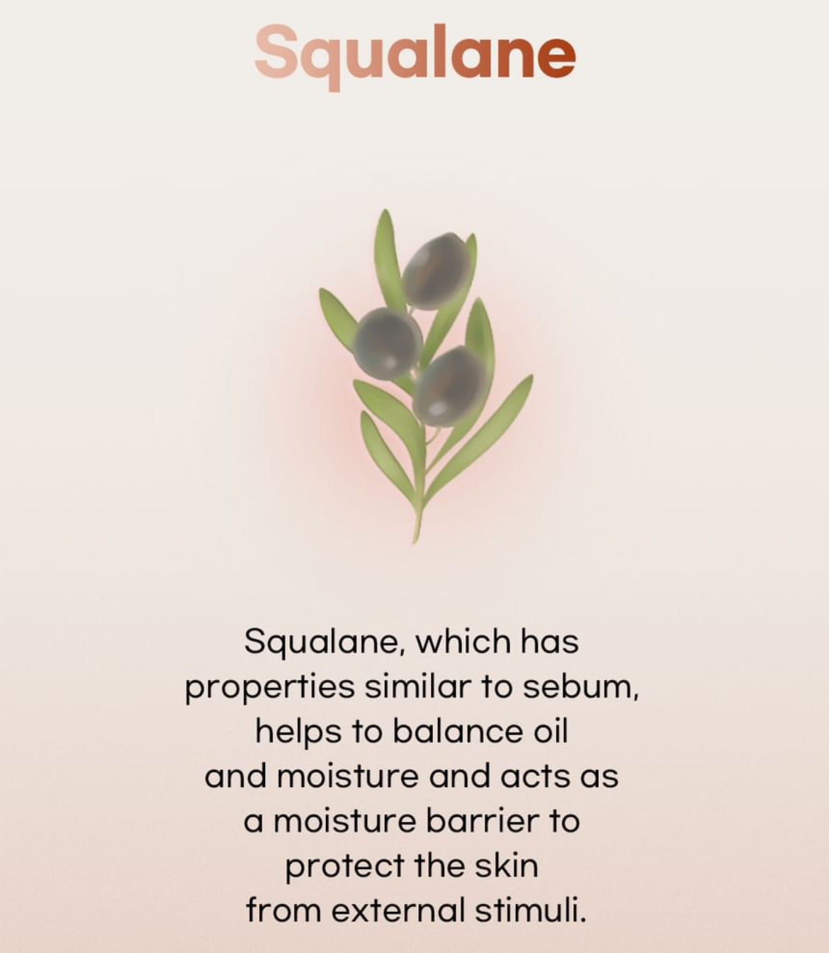 Beauty of Joseon - Dynasty Cream Jumbo